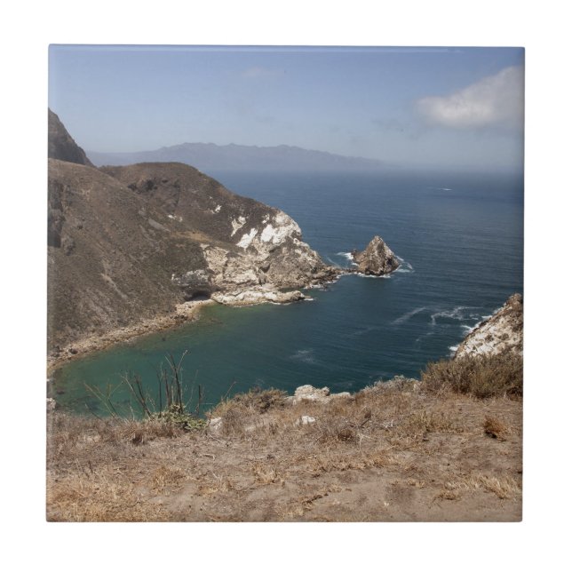 Carreau Port de pommes de terre (Devant)