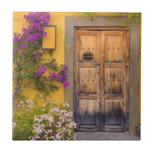 Carreau Porte en bois