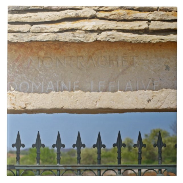 Carreau Porte et clé de voûte sculptée avec Montrachet, (Devant)
