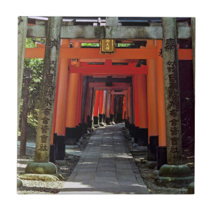 Carreau Portes Torii - Kyoto, Japon, Asie