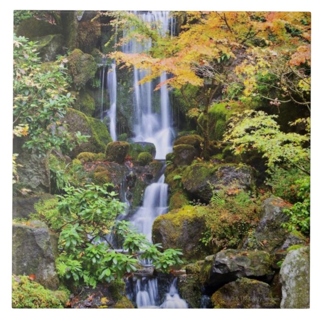 Carreau Portland, Orégon (Devant)