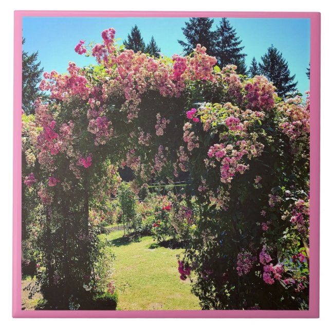 Carreau Portland Rose Garden (Devant)