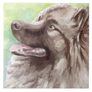 Carreau Portrait aquarelle de Keeshond