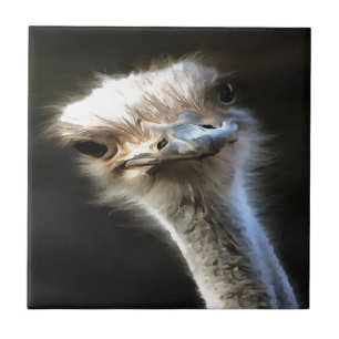 Carreau Portrait Artistique Ostrich Avec Expression Goofy