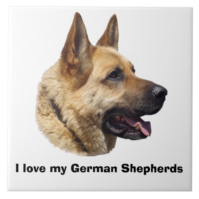Carreau Portrait d'Alsatian German shepherd (Devant)