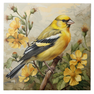 Carreau Portrait de chardonneret jaune, jaune et noir