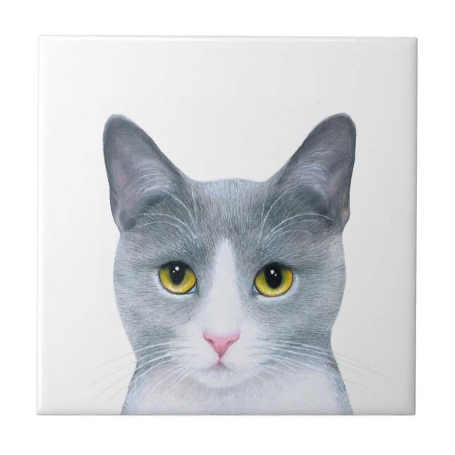 Carreau Portrait de chat gris 611 (Devant)