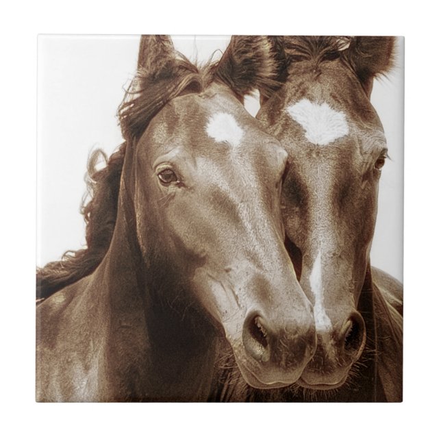 Carreau Portrait de cheval III (Devant)