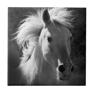 Carreau Portrait de cheval V