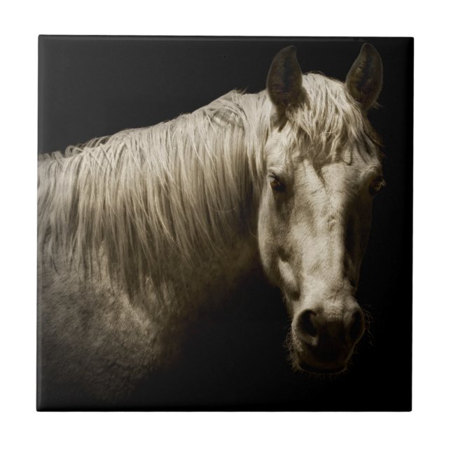 Carreau Portrait de cheval VI (Devant)