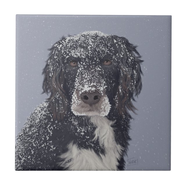 Carreau Portrait de chien croisé Spaniel  (Devant)