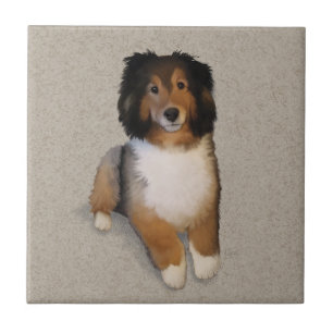 Carreau Portrait de chien Shelter mix