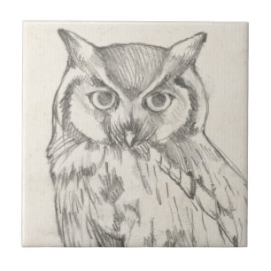 Carreau Portrait de hibou - Croquis