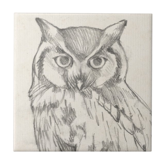 Carreau Portrait de hibou - Croquis (Devant)