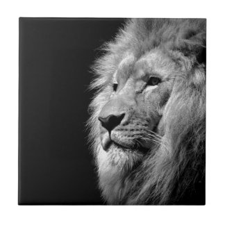 Carreau Portrait de Lion noir blanc - Photographie d'anima