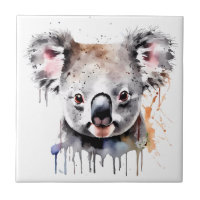 Portrait de l'ours Koala