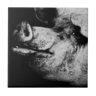 Carreau portrait de portier