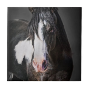 Carreau Portrait II de cheval