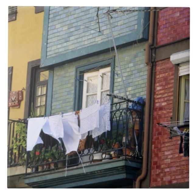 Carreau Portugal, Porto (Porto). Femme accrochée à la less (Devant)