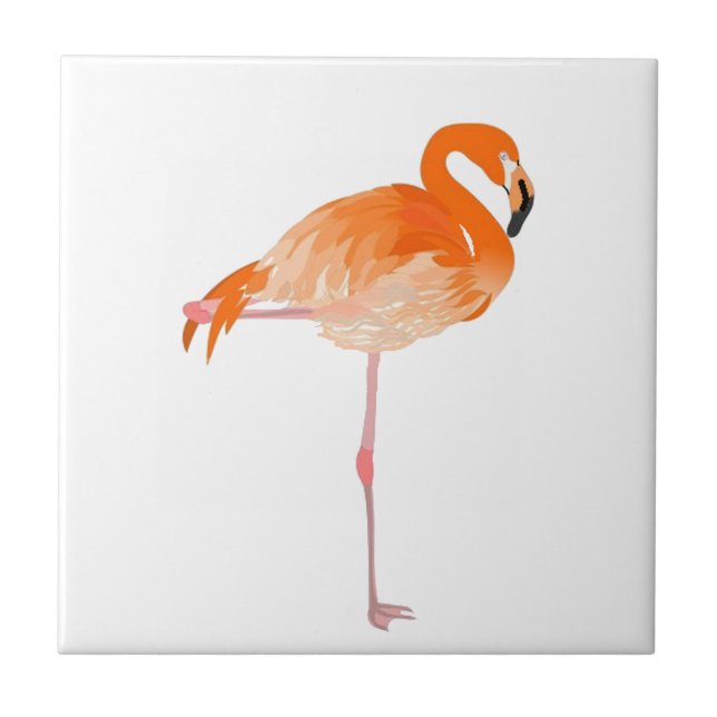 CARREAU POSITION SI FIÈRE (Devant)