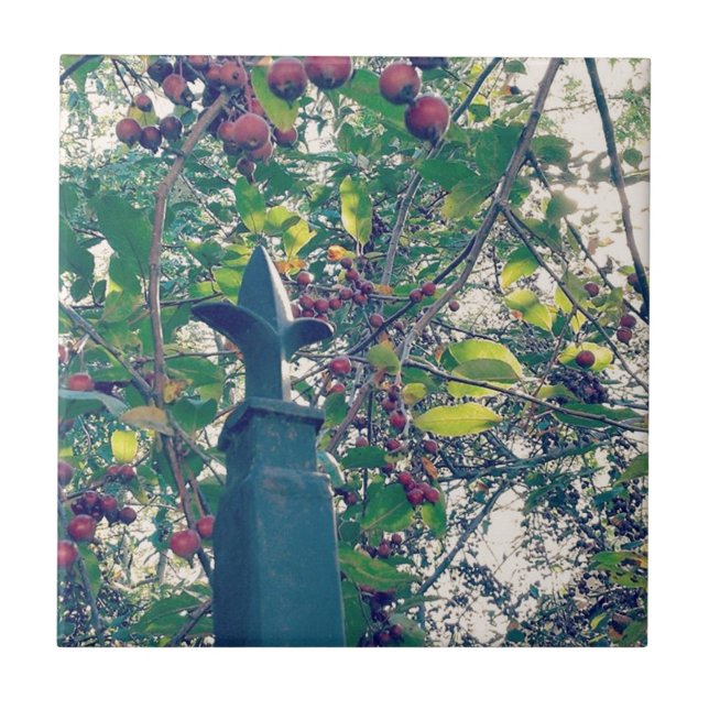 Carreau Poste de clôture (Devant)