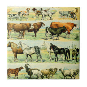 Carreau Poster de animal agricole Vintage