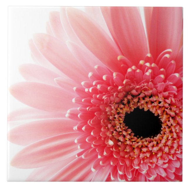 Carreau Poster Gerbera Daisy (Devant)