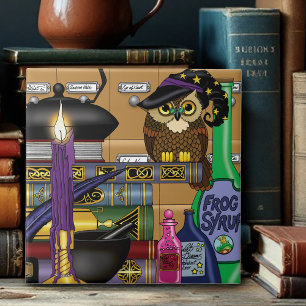 Carreau Potions de livres d'hibou Assistant