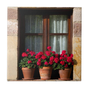 Carreau Pots de fleurs de fenêtre dans un village