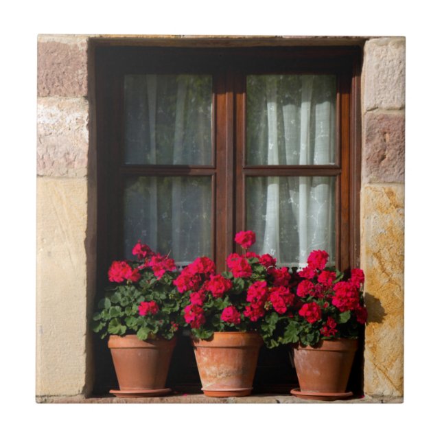 Carreau Pots de fleurs de fenêtre dans un village (Devant)