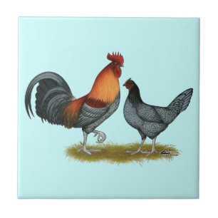 Carreau Poule bleue du Delaware