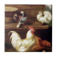 Poule et poussins de jeune coq avec des animaux de