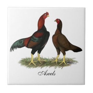 Carreau Poules Aseel Black Red