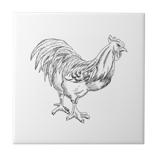 Carreau Poulet en stylo et encre (Devant)