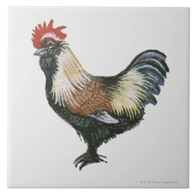 Carreau Poulet saumoné de Faverolles (Devant)