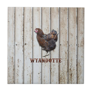 Carreau Poulet Wyandotte