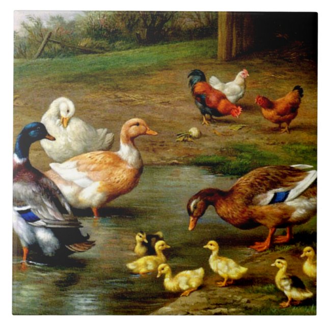 Carreau Poulets, Canards Et Canards À La Ferme (Devant)