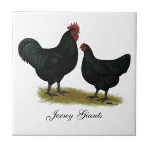 Carreau Poulets de géant du Jersey
