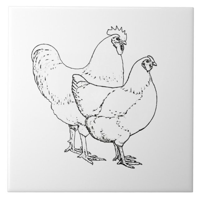 Carreau Poulets de race d'héritage - coq et poule (Devant)