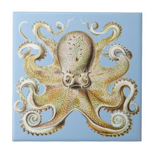 Carreau Poulpe vintage Ernst Haeckel Vie marine nautique