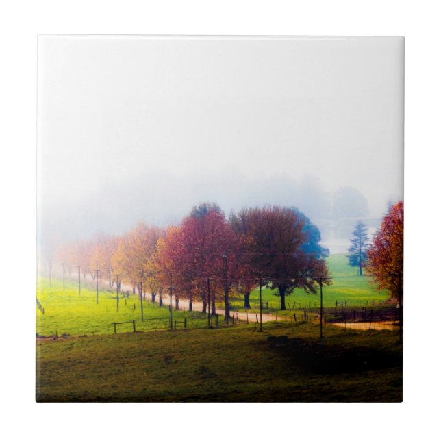 Carreau Prairie brumeuse en automne (Devant)