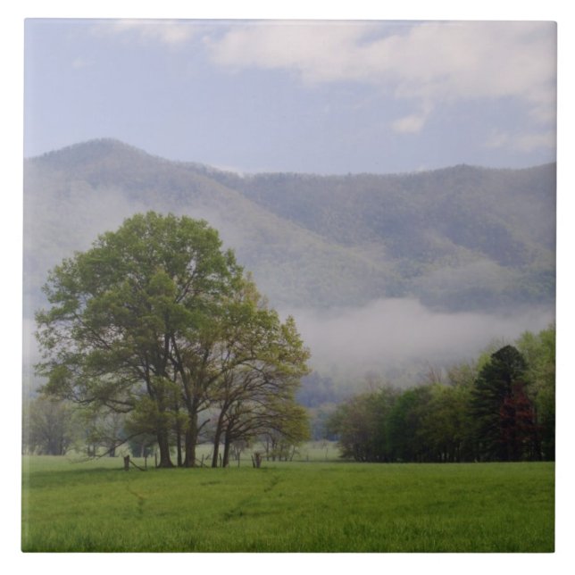 Carreau Prairie brumeuse et Rich Mountain, Cades Cove, (Devant)