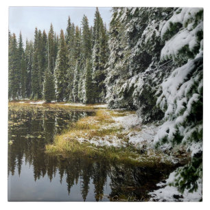 Carreau Première neige sur Golden Watts