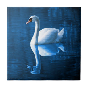 Carreau Pretty white swan floating on blue lake