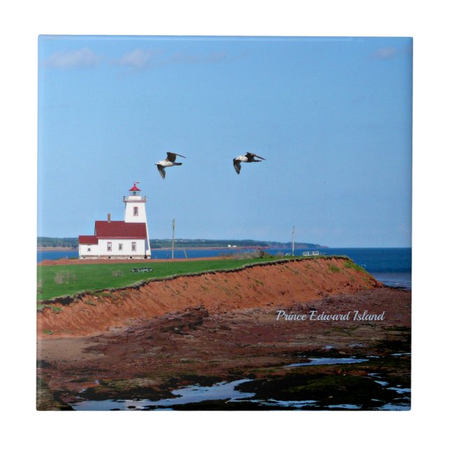 Carreau Prince Edward Island Lighthouse (Devant)