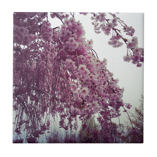 Carreau Printemps (Devant)