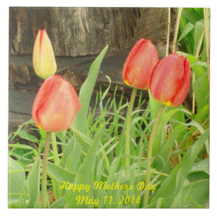 Carreau Printemps 2 Mois Jour Tile