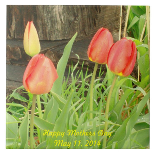 Carreau Printemps 2 Mois Jour Tile (Devant)