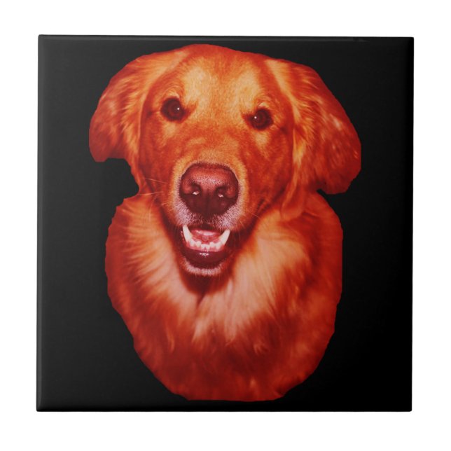 Carreau Profil avant Red Golden Retriever (Devant)