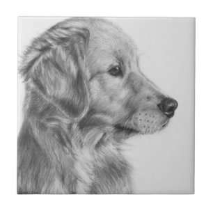 Carreau Profil d'or de Retreiver